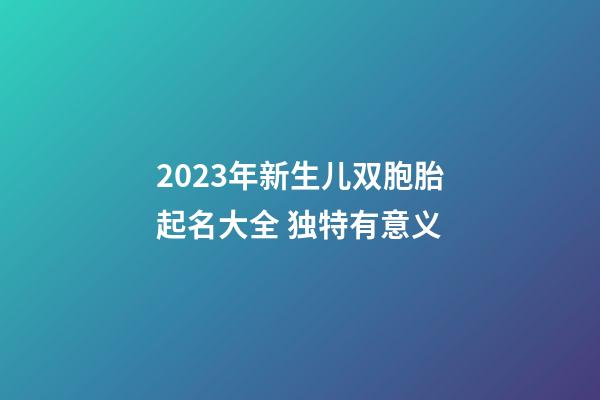 2023年新生儿双胞胎起名大全 独特有意义